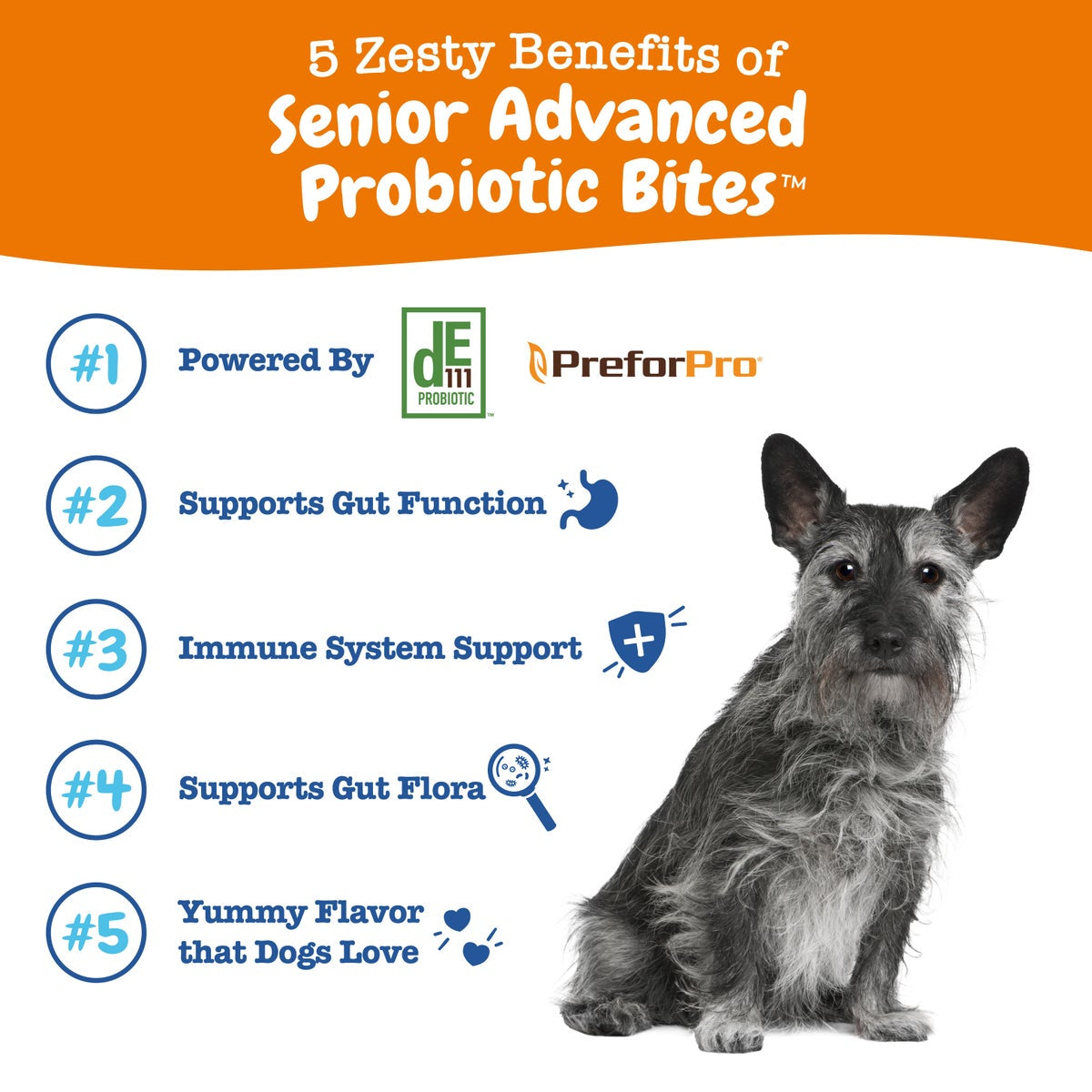 Senior Advanced Probiotic Bites for Dogs, for Gut & Digestive Health, Chicken Flavor, 90 Count Soft Chews