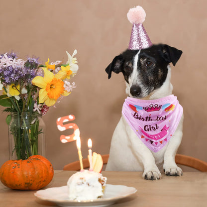 Dog Birthday Party Supplies Bandana Hat Banner Set Boy Girl Cute Bow Tie Scarf Dog Birthday Decorations (Pink，Dog Girl)